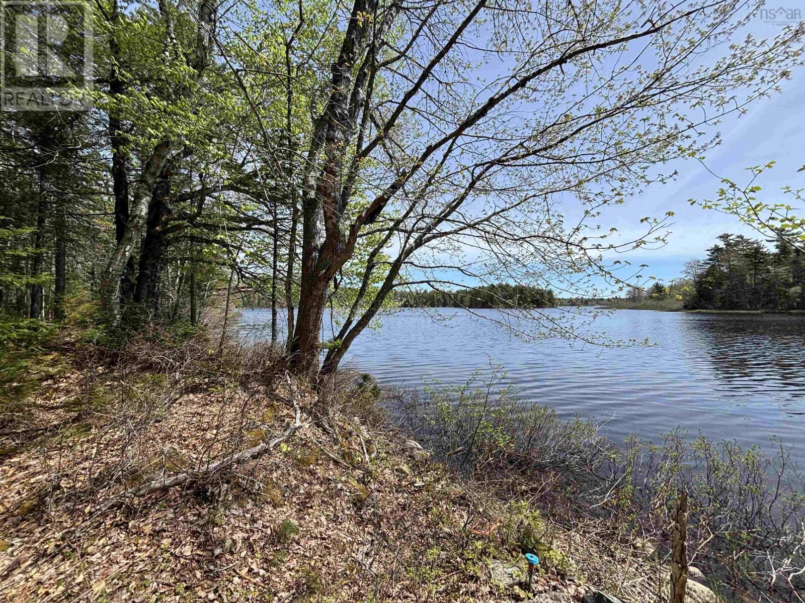 Lot 7-23 Highway 325 - Photo 2