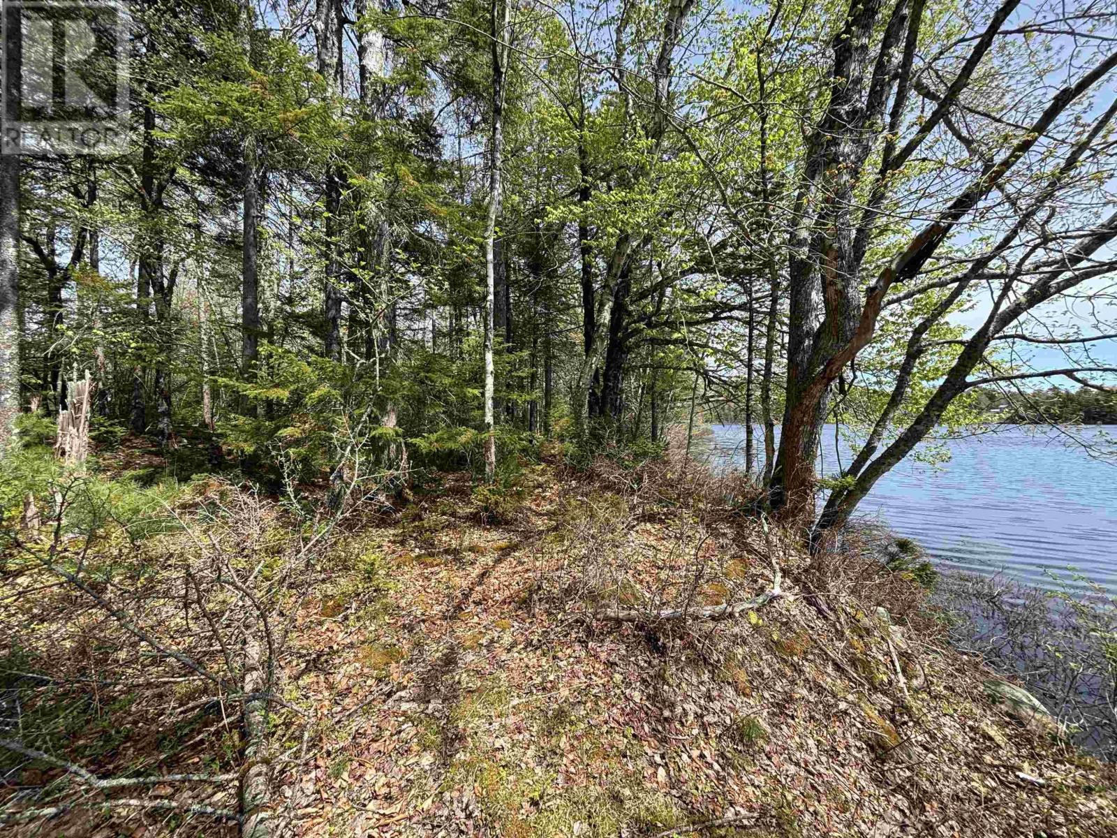 Lot 7-23 Highway 325 - Photo 3