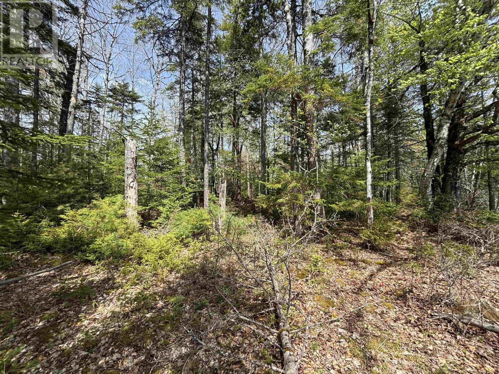 Lot 7-23 Highway 325 - Photo 4