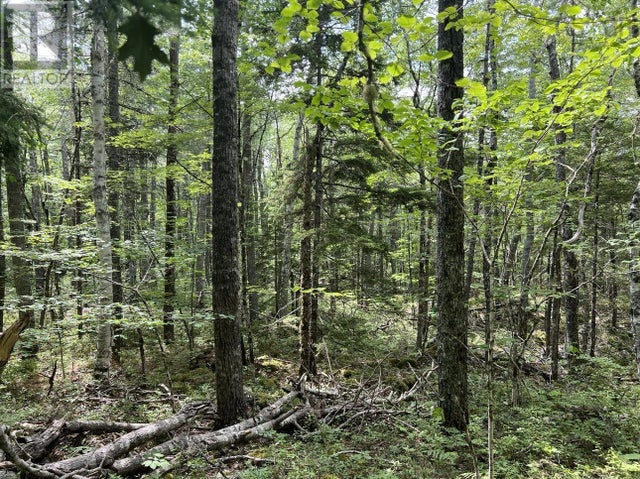 Lot 17 Pine Island Drive