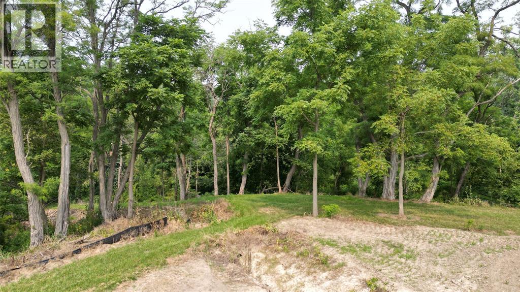 3407 FOUR ELMS COURT