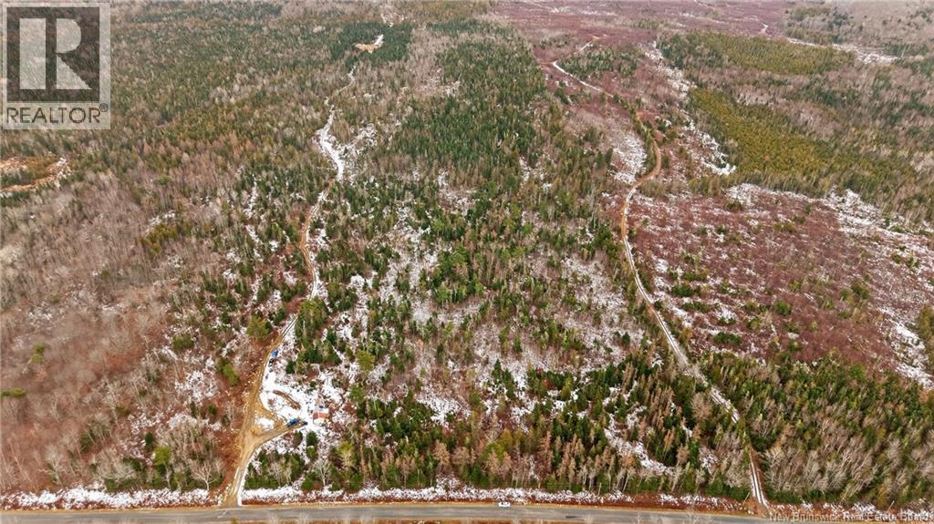 000 Lynnfield Road - Photo 3