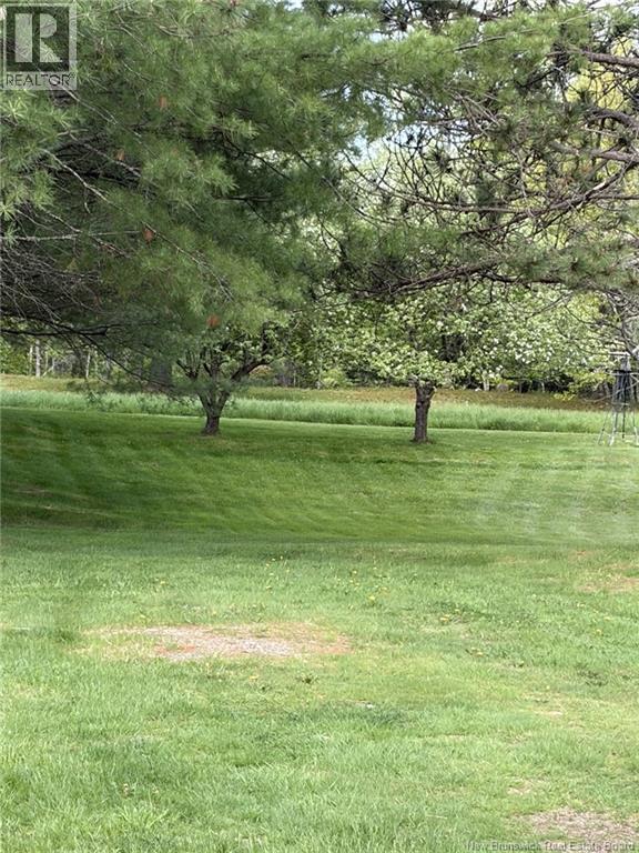 228 Upper Mills Road - Photo 3