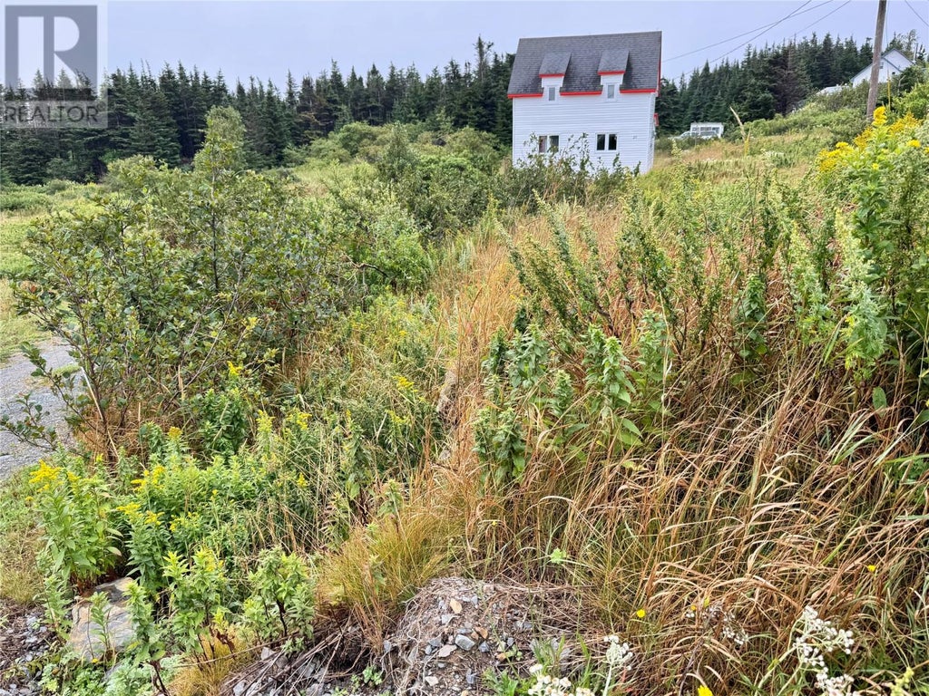 21-27A CATALINA ROAD, ELLISTON, NF A0C 1N0 - Image 3202013086.jpeg?d=l