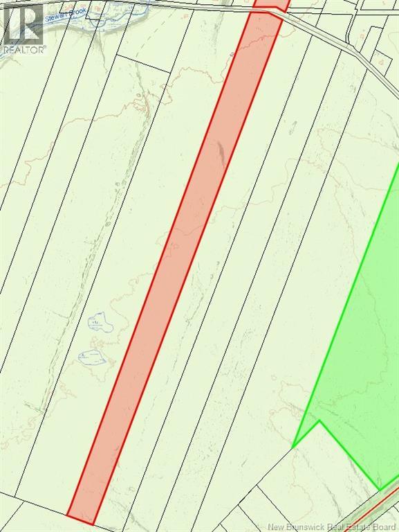 55.2 Acres Williamstown Road - Photo 2