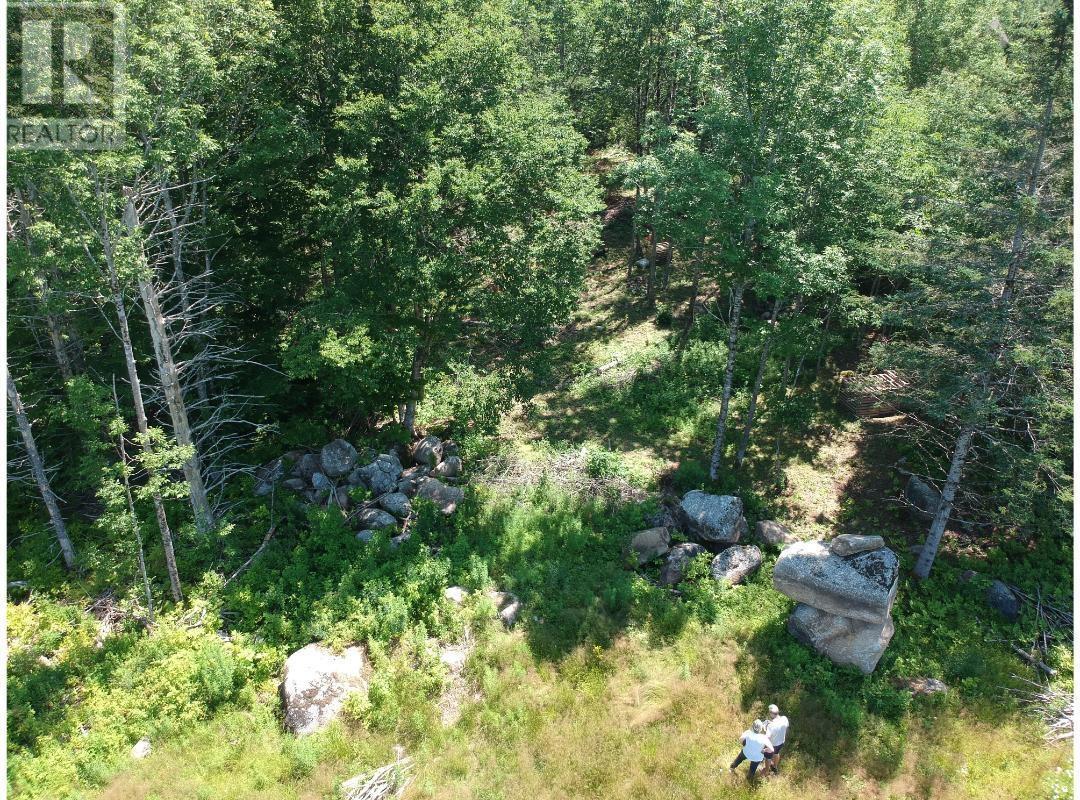 6908 Highway 12 - Photo 3