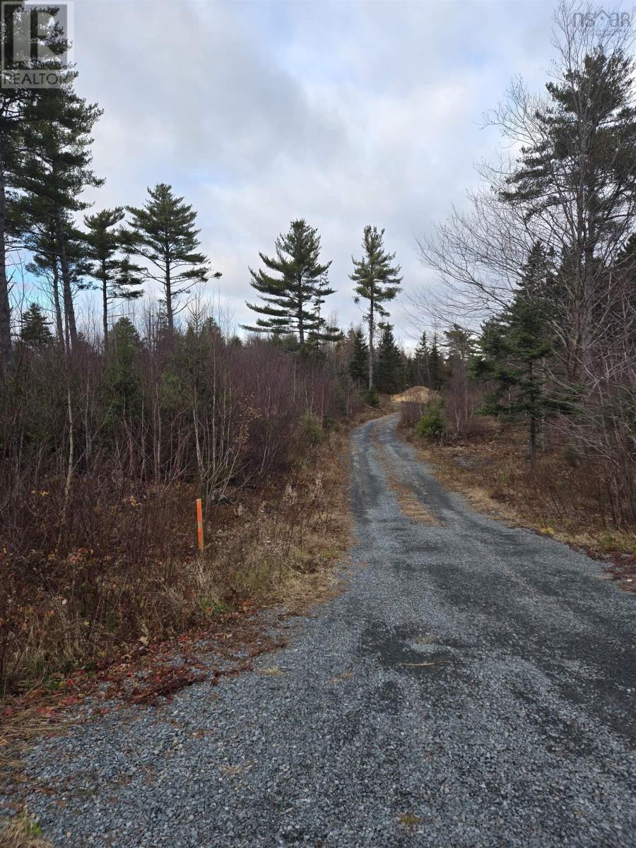 Lot P-1 Baker Road - Photo 3