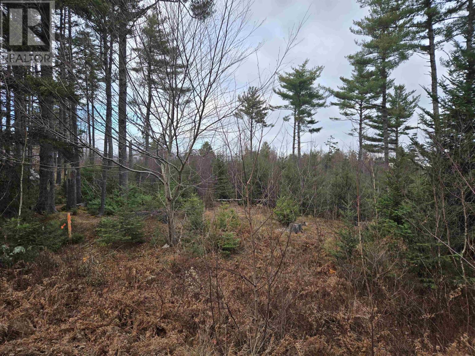 Lot P-1 Baker Road - Photo 4