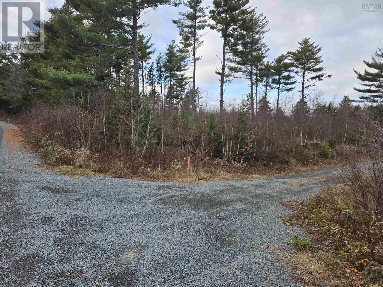 Lot P-1 Baker Road - Photo 2
