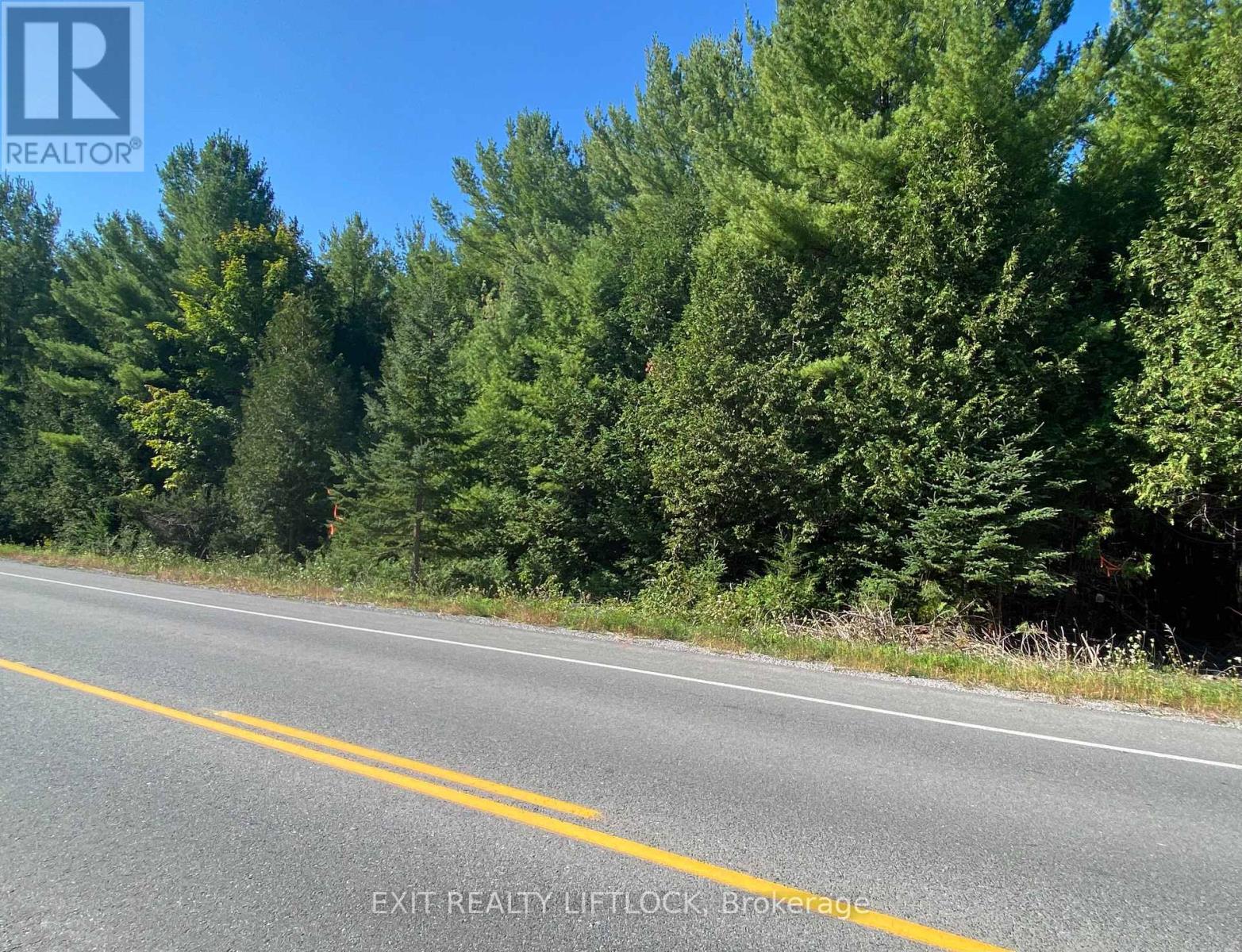 590 COUNTY RD 40 - Photo 3