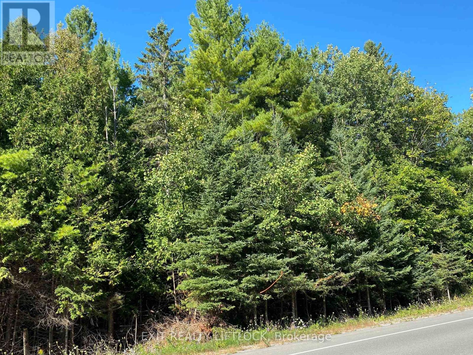 590 COUNTY RD 40 - Photo 4