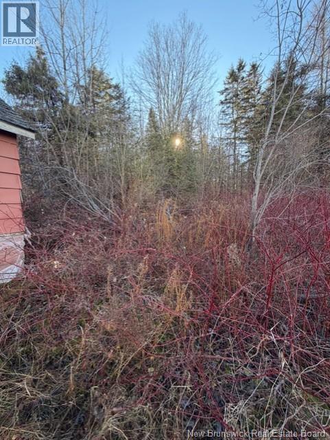 400 Flume Ridge Road - Photo 3