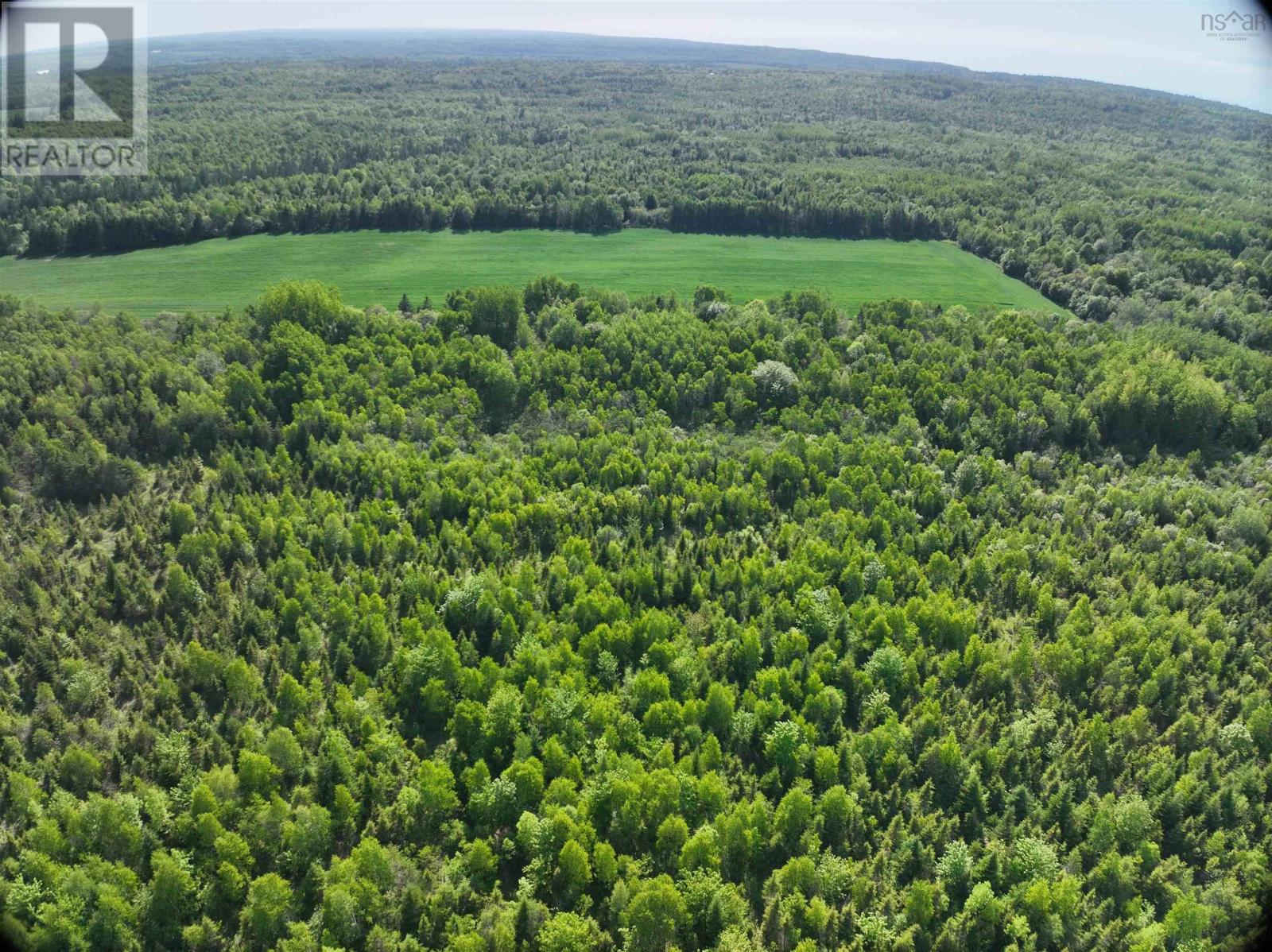 Lot 5 Baxters Harbour Road - Photo 4