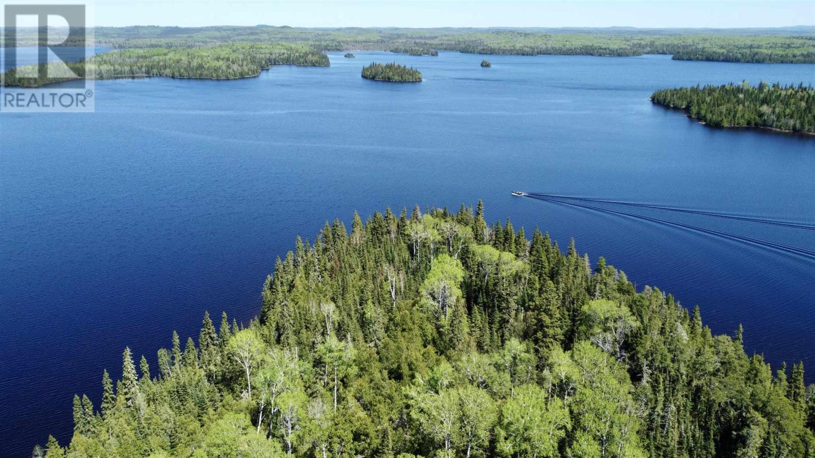 PCL 50 Dog Lake - Photo 3