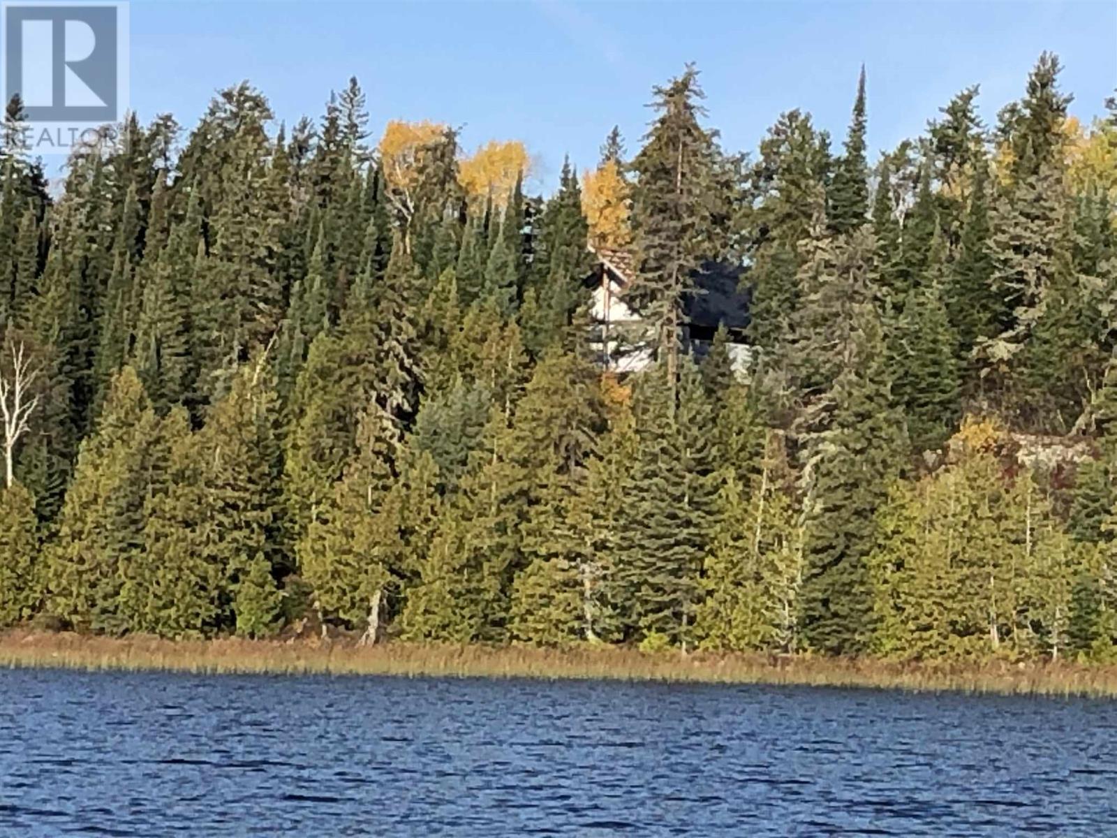 PCL 50 Dog Lake - Photo 4