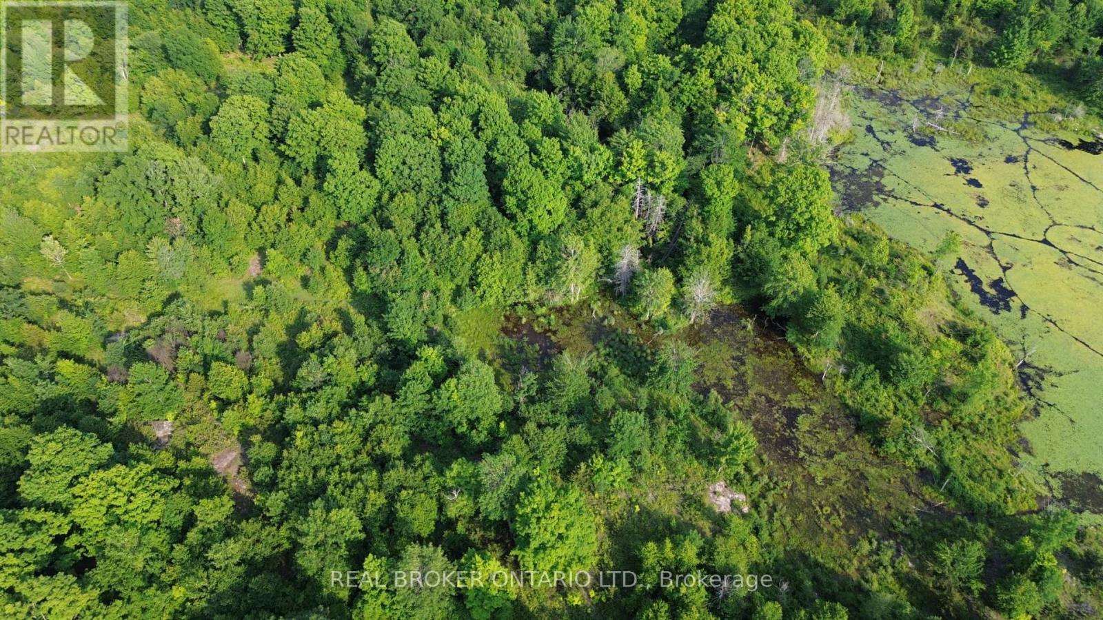 LOT 22 MOUNTAIN ROAD