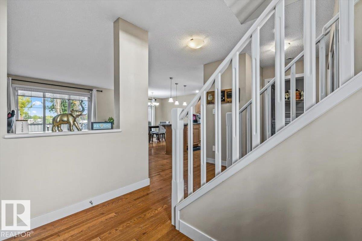 36 BECKER CR