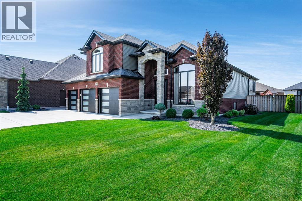 64 Valencia DRIVE