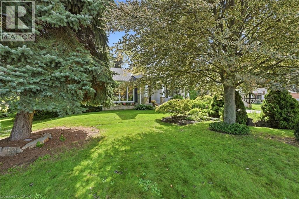 6 KERMAN Avenue