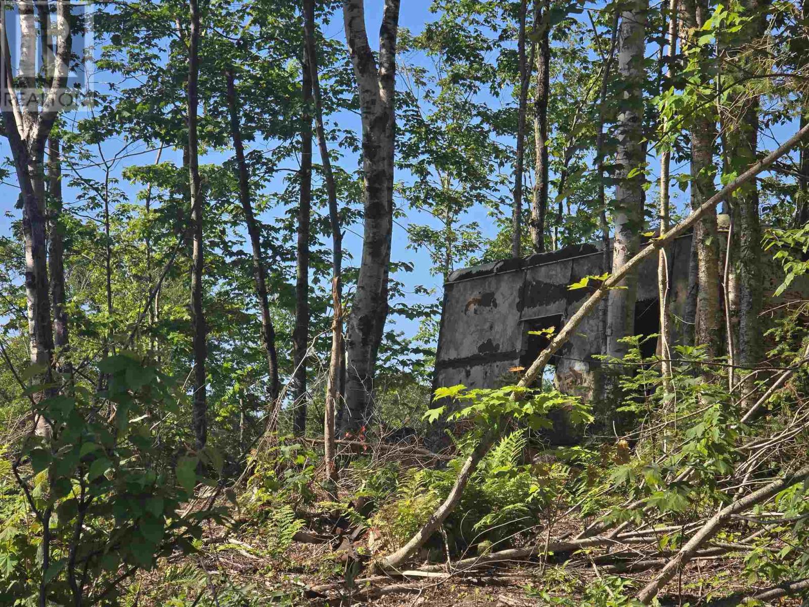 417 Creek RD - Photo 3