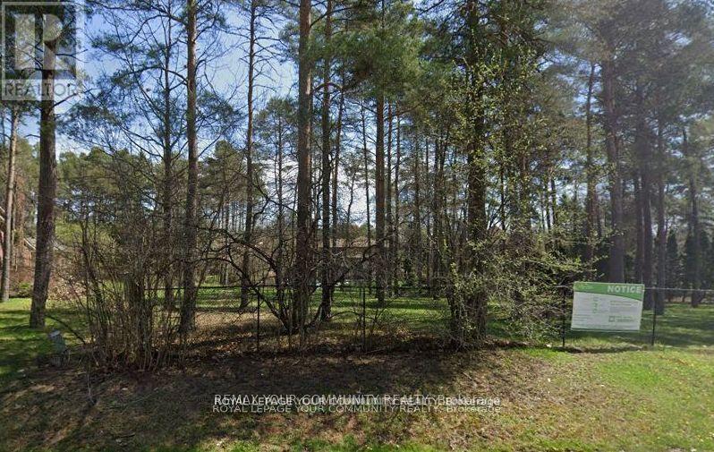 52A BEAUFORT HILLS ROAD