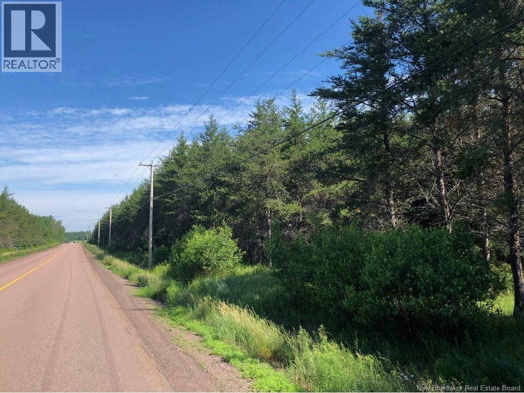 Lot 26-9 Route 495 - Photo 2