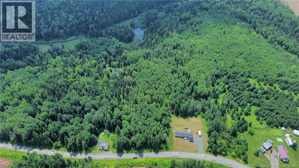 Vacant Land Black Brook Road - Photo 3