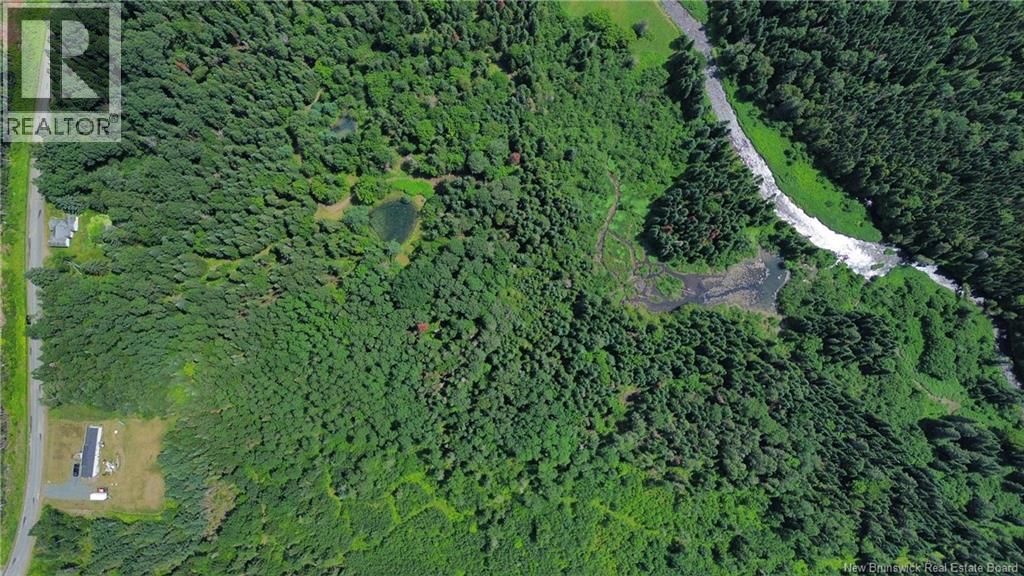 Vacant Land Black Brook Road - Photo 4