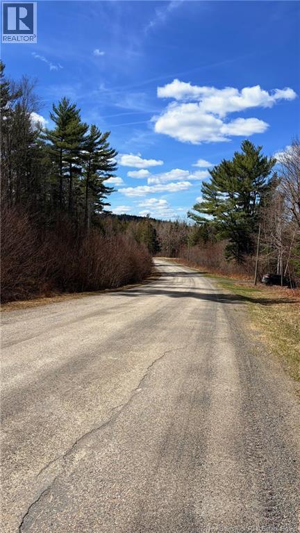 00-1 Reardon Road - Photo 2