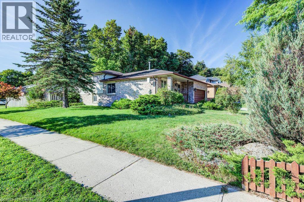 3 CORA Drive