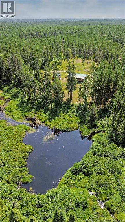 194 Meadow Brook Road - Photo 3