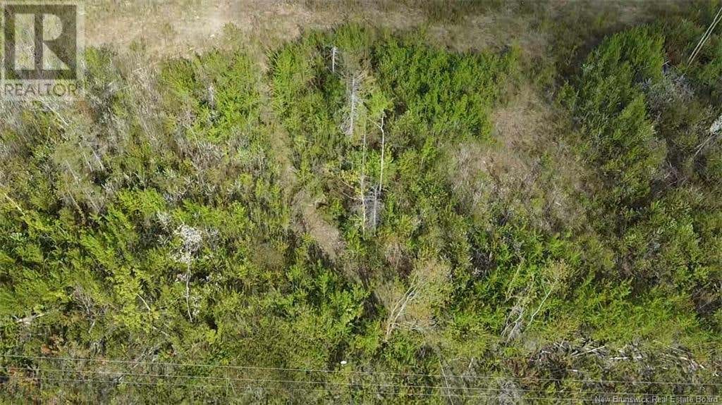 LOT 9 TOBIN ROAD