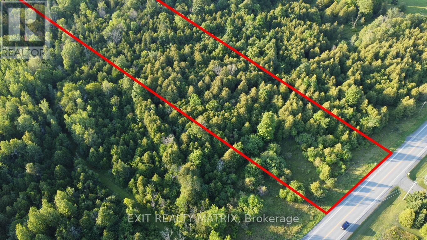 3875 COUNTY ROAD 45 LOT 2 ROAD - Photo 4