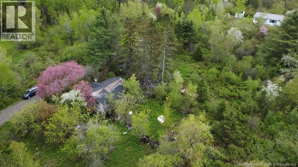 196 Ledge Road - Photo 4