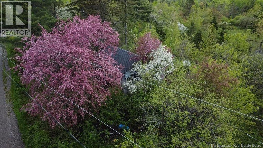 196 Ledge Road - Photo 3