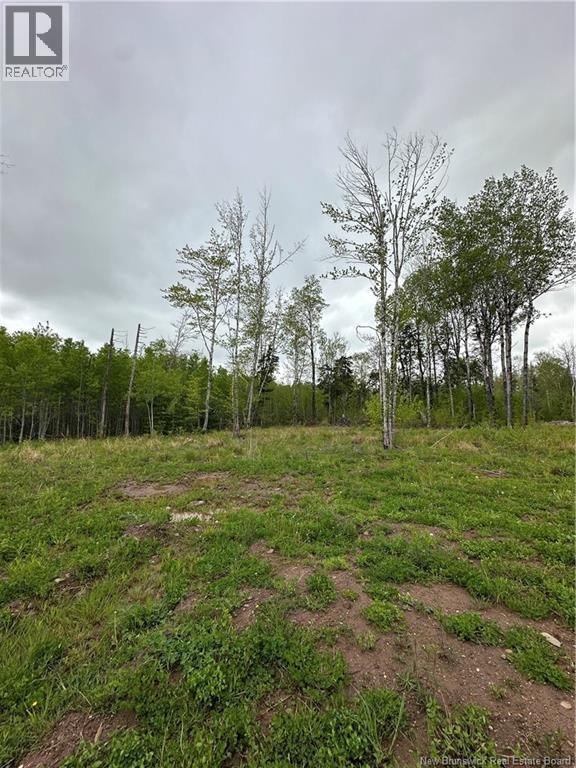 117 Alward Road - Photo 4