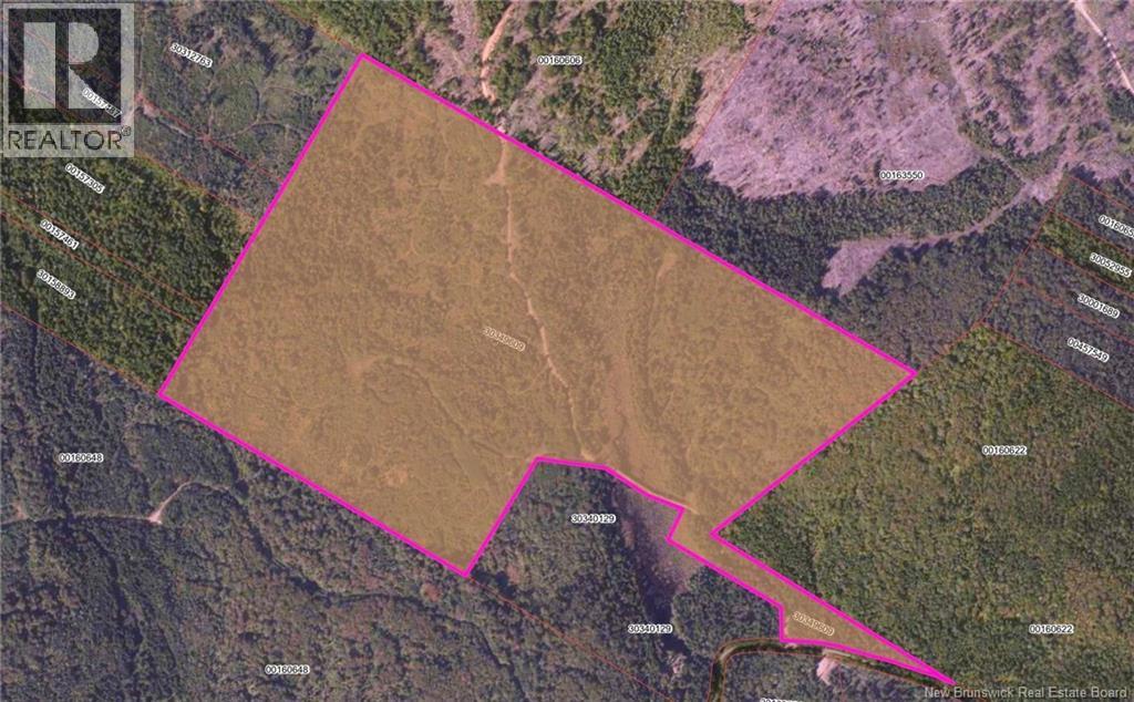 LOT BACKLAND ROAD