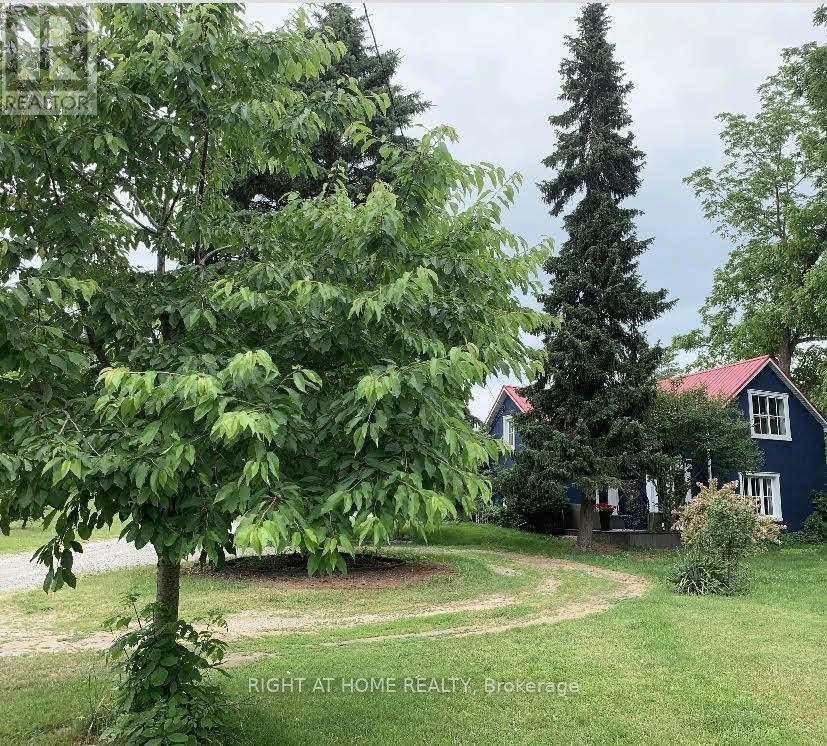 393 CANBORO ROAD