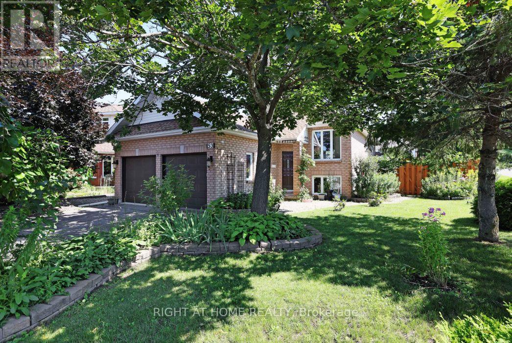53 YOHO DRIVE