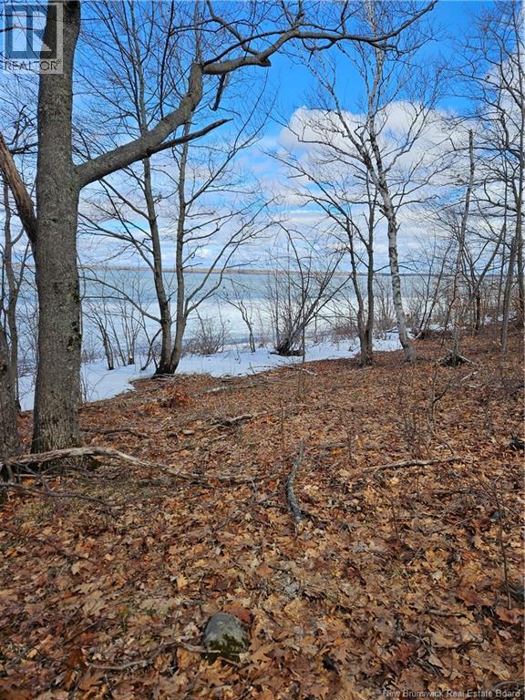 Lot Cox Point Road - Photo 3