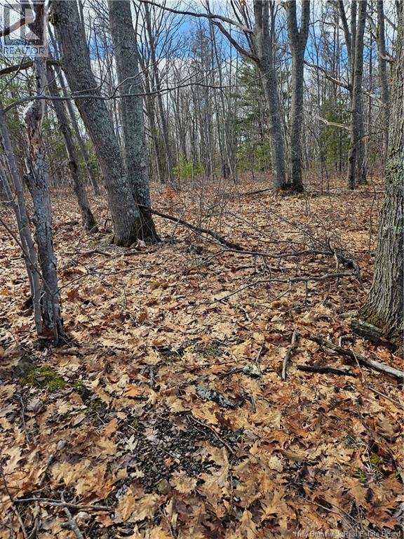 Lot Cox Point Road - Photo 2