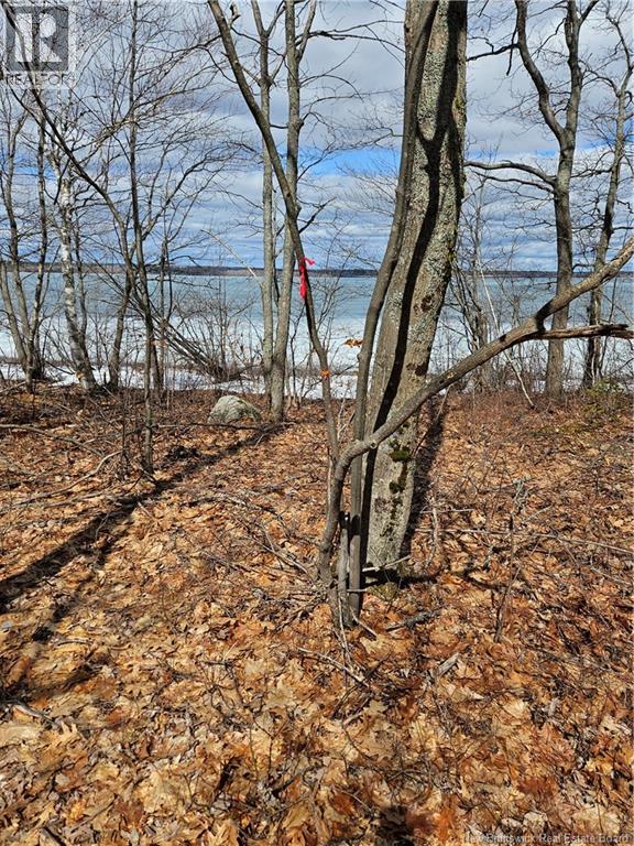 Lot Cox Point Road - Photo 4
