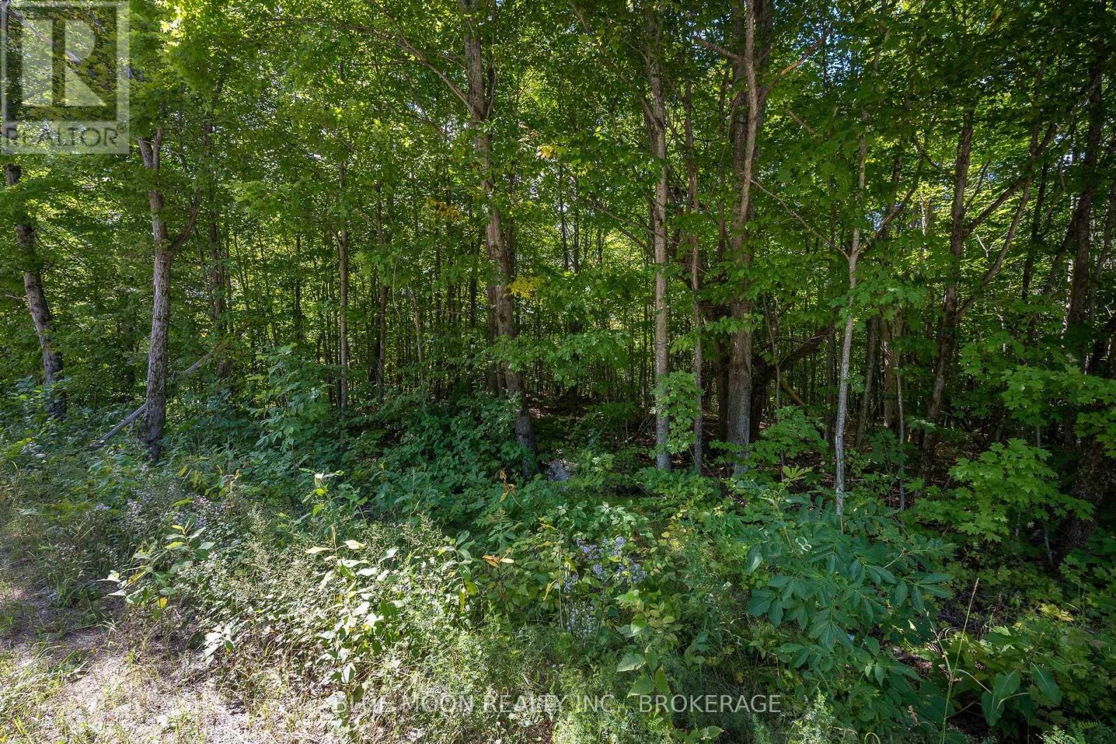0 MYERS CAVE ROAD