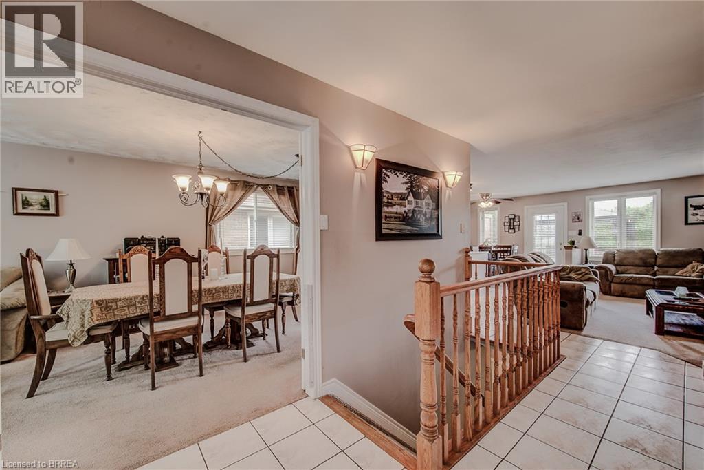 45 OLIVETREE Road
