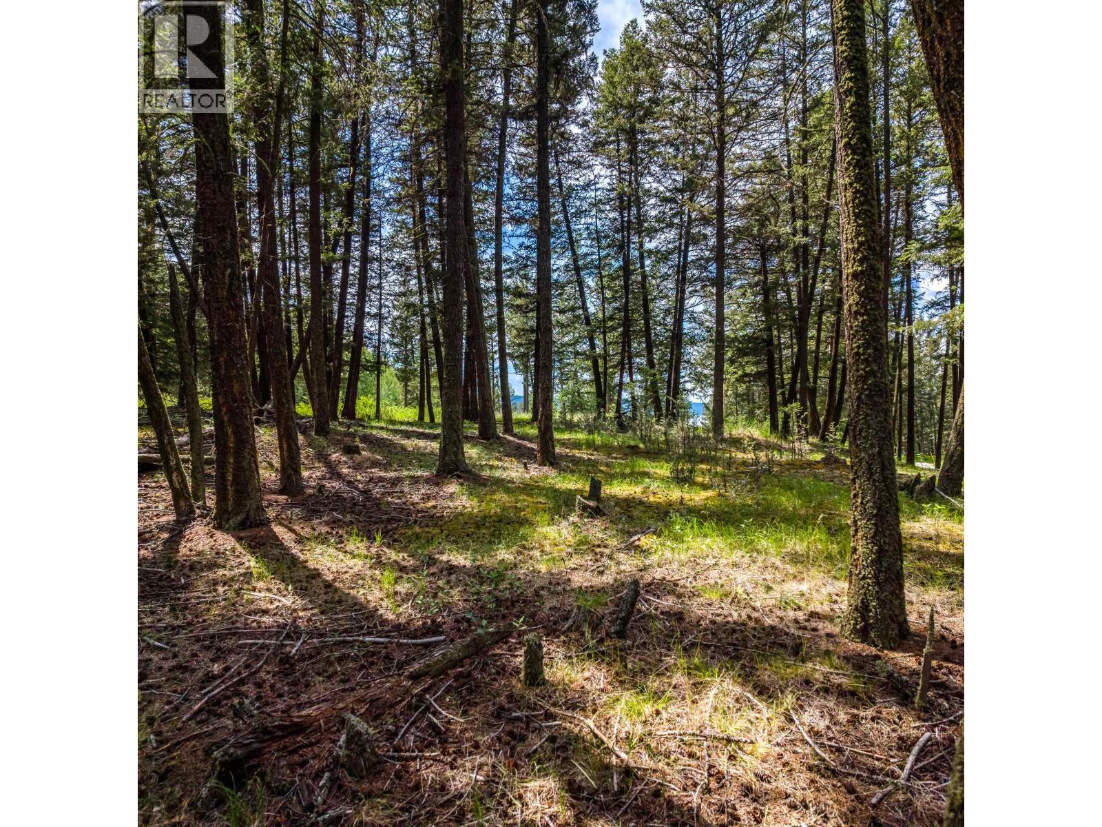 LOT 2 LAC LA HACHE STATION ROAD