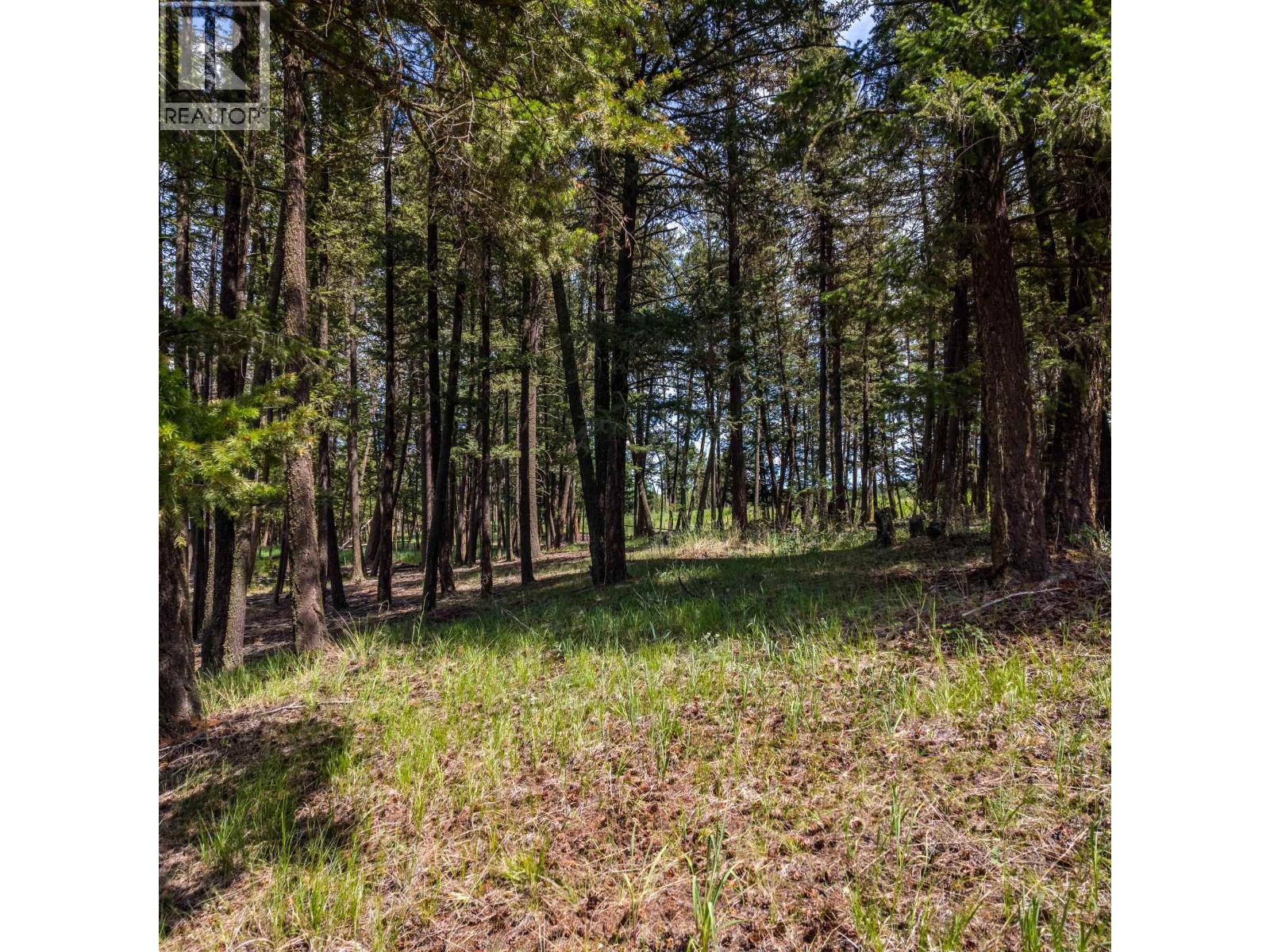 LOT 2 LAC LA HACHE STATION ROAD