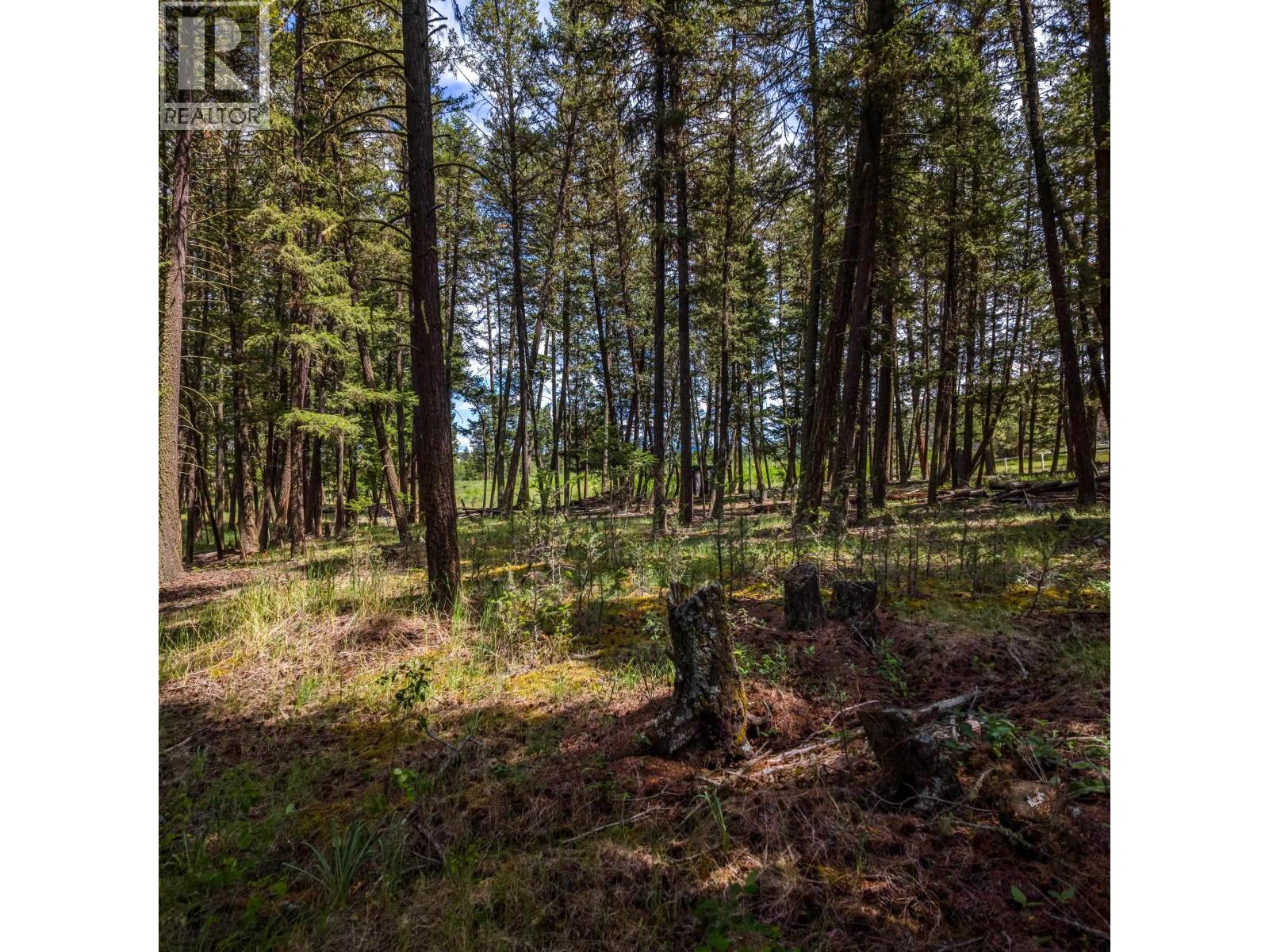 LOT 2 LAC LA HACHE STATION ROAD