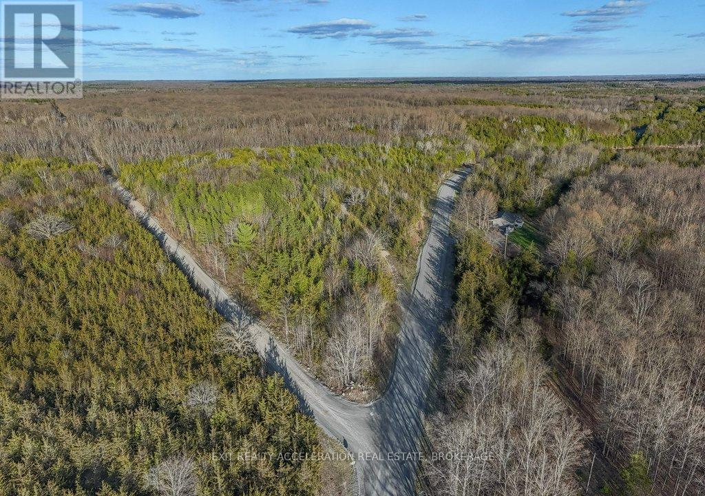 0 LIME LAKE ROAD - Photo 4