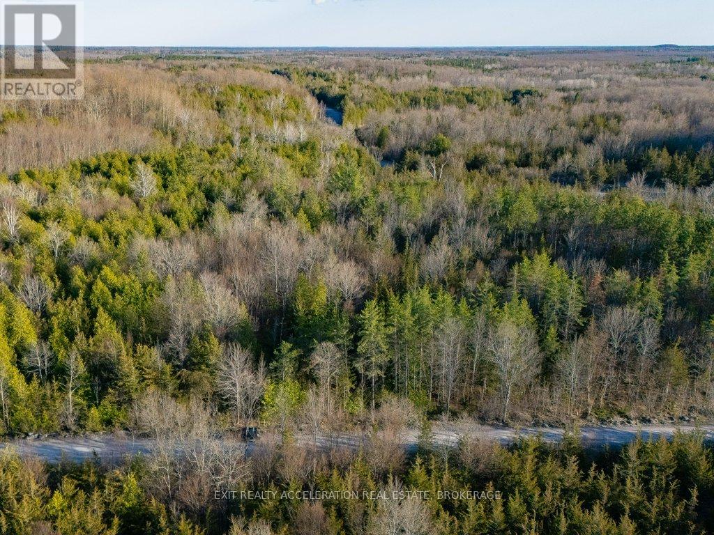 0 LIME LAKE ROAD - Photo 3