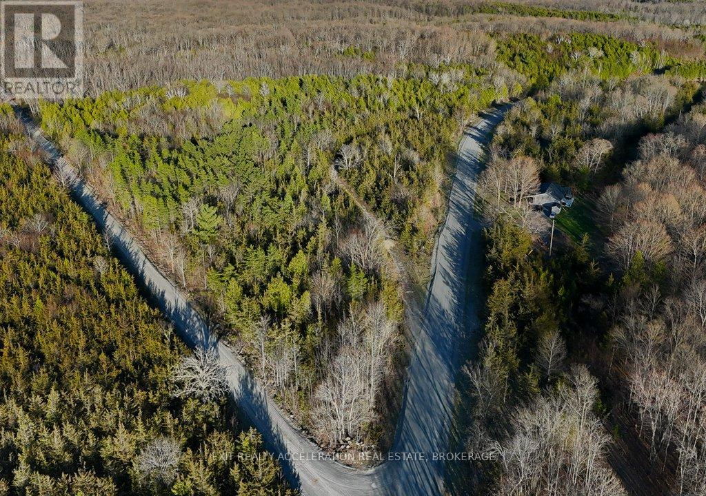 0 LIME LAKE ROAD - Photo 2